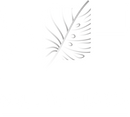 Wall of Plants